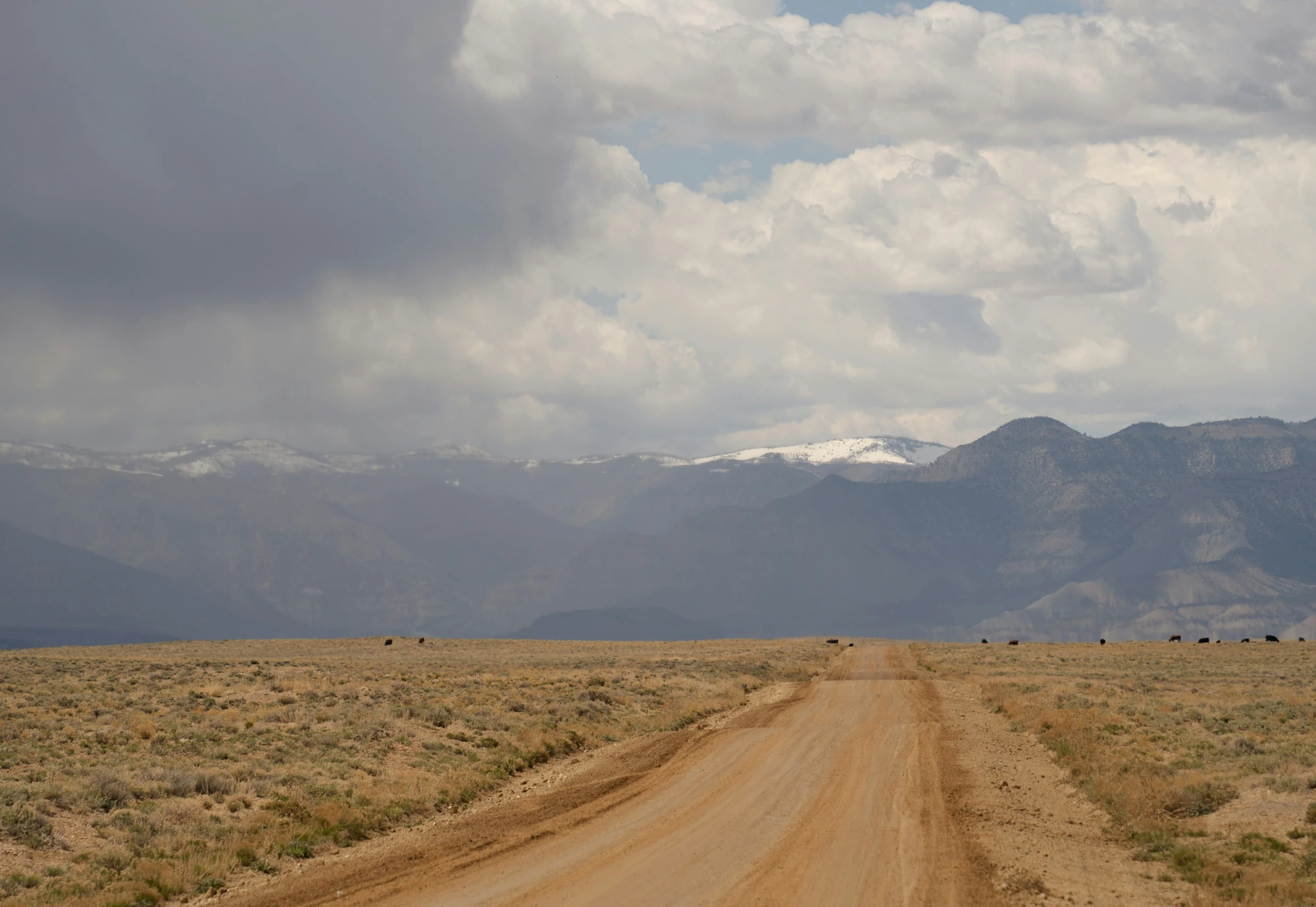 A dirt road runs through Utah ranchland toward snow-capped mountains under a heavy sky.